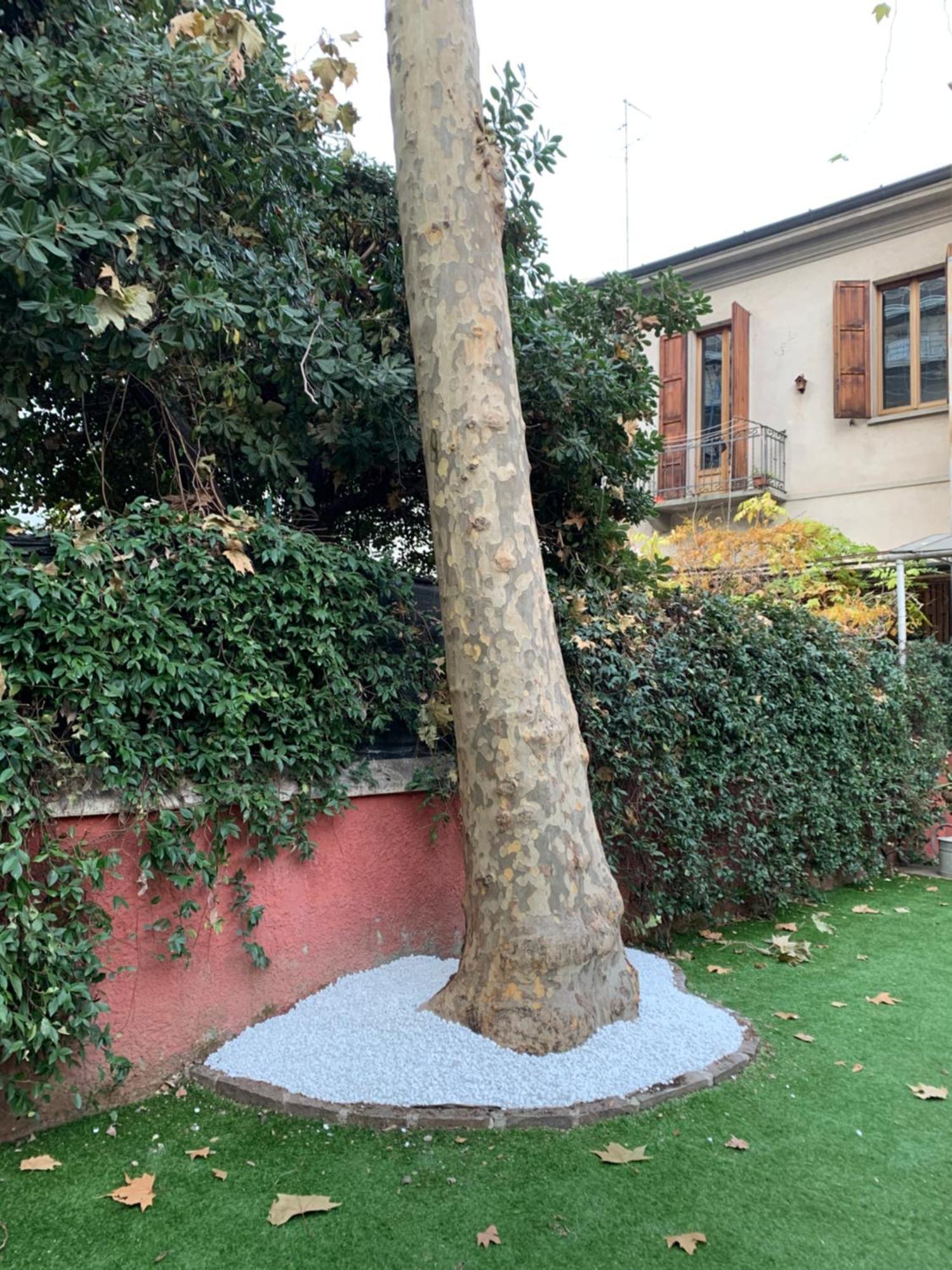 Apartamento La Casa Delle Fate *